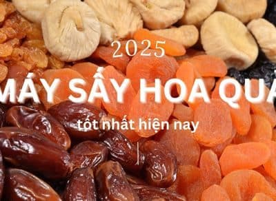 Loại máy sấy hoa quả tốt nhất 2025