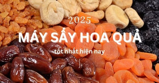 Loại máy sấy hoa quả tốt nhất 2025