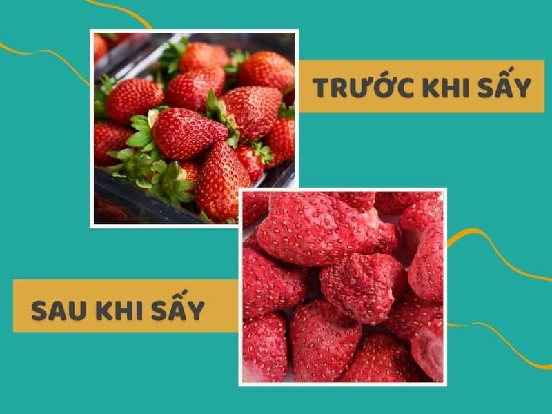 Bao-quan-tot-giu-nguyen-cau-truc-mau-sac-dinh-duong