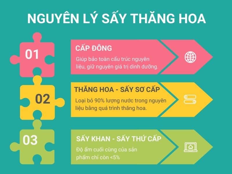 Nguyen-ly-say-thang-hoa