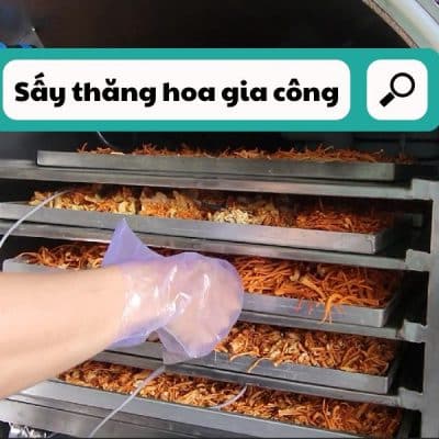 dich-vu-say-gia-cong-thang-hoa;