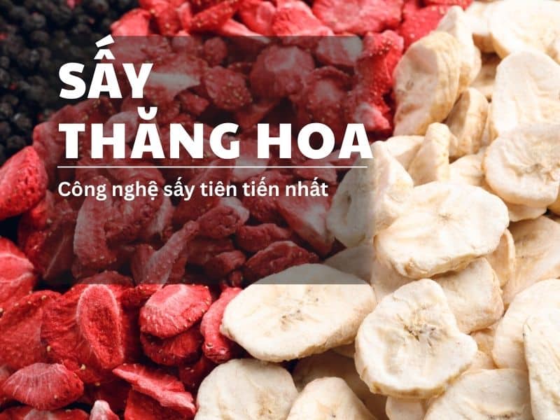 say-thang-hoa