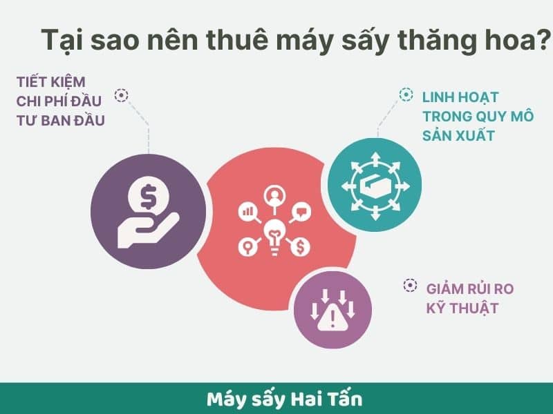 tai-sao-nen-thue-may-say-thang-hoa