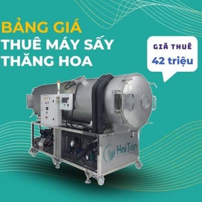 thue-may-say-thang-hoa