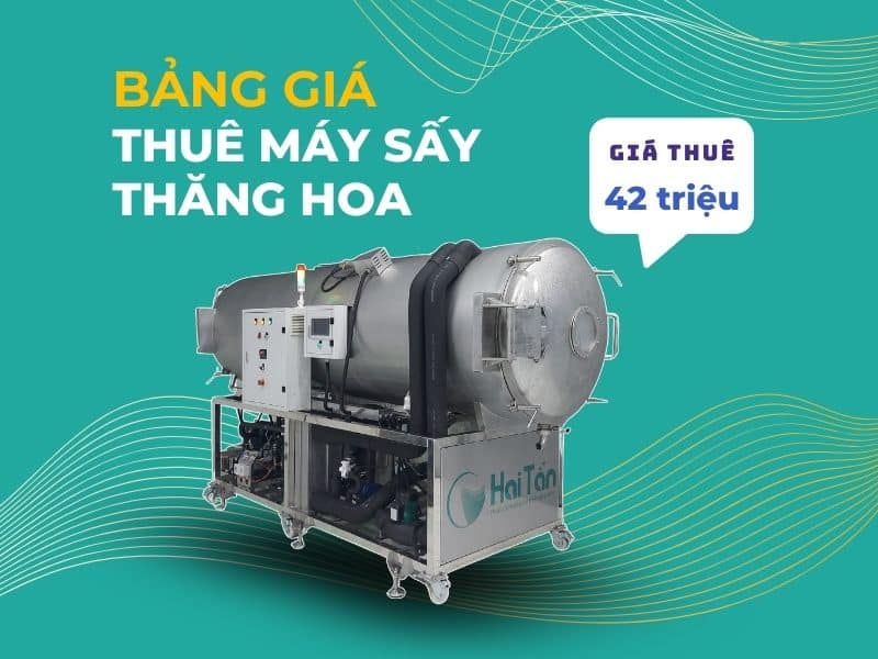 thue-may-say-thang-hoa