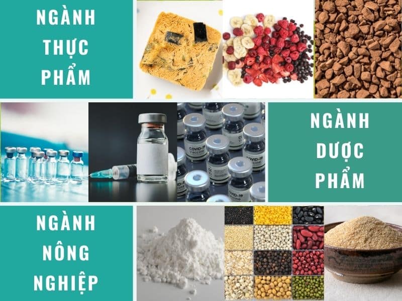 ung-dung-chinh-cua-thiet-bi-say-thang-hoa