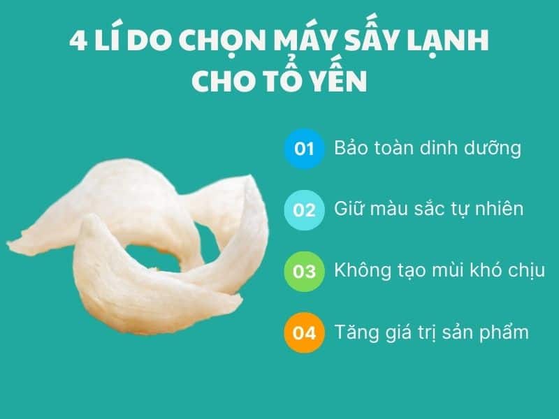 4-li-do-chon-say-lanh-cho-to-yen