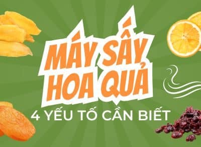 Mua máy sấu hoa quả 4 yếu tố cần biết