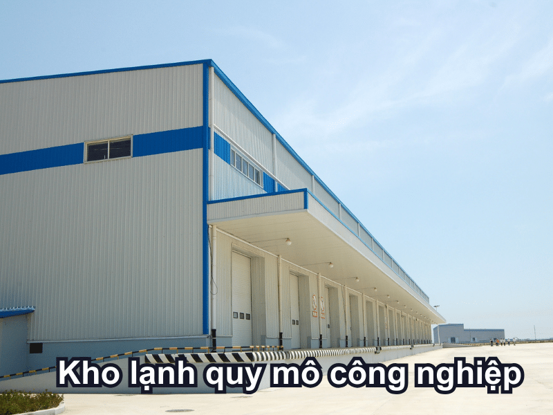 kho-lanh-quy-mo-cong-nghiep